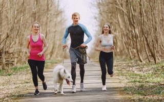 Three adults jogging with a dog on a forest path on a bright spring day, promoting healthy living.